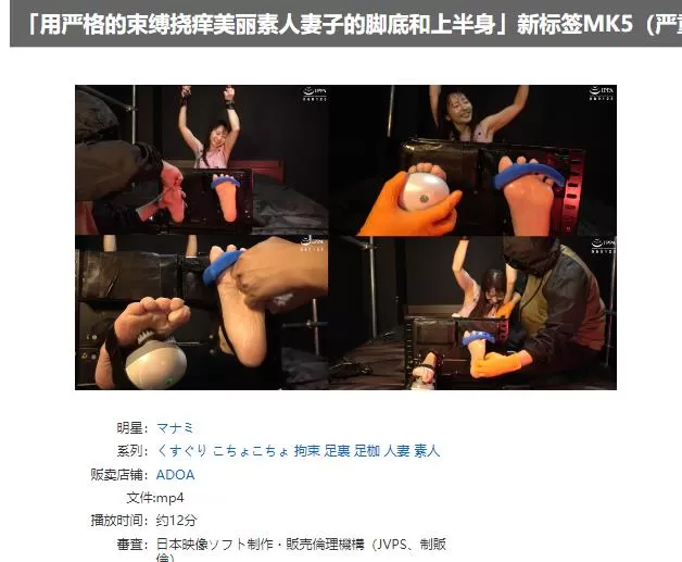 5.webp