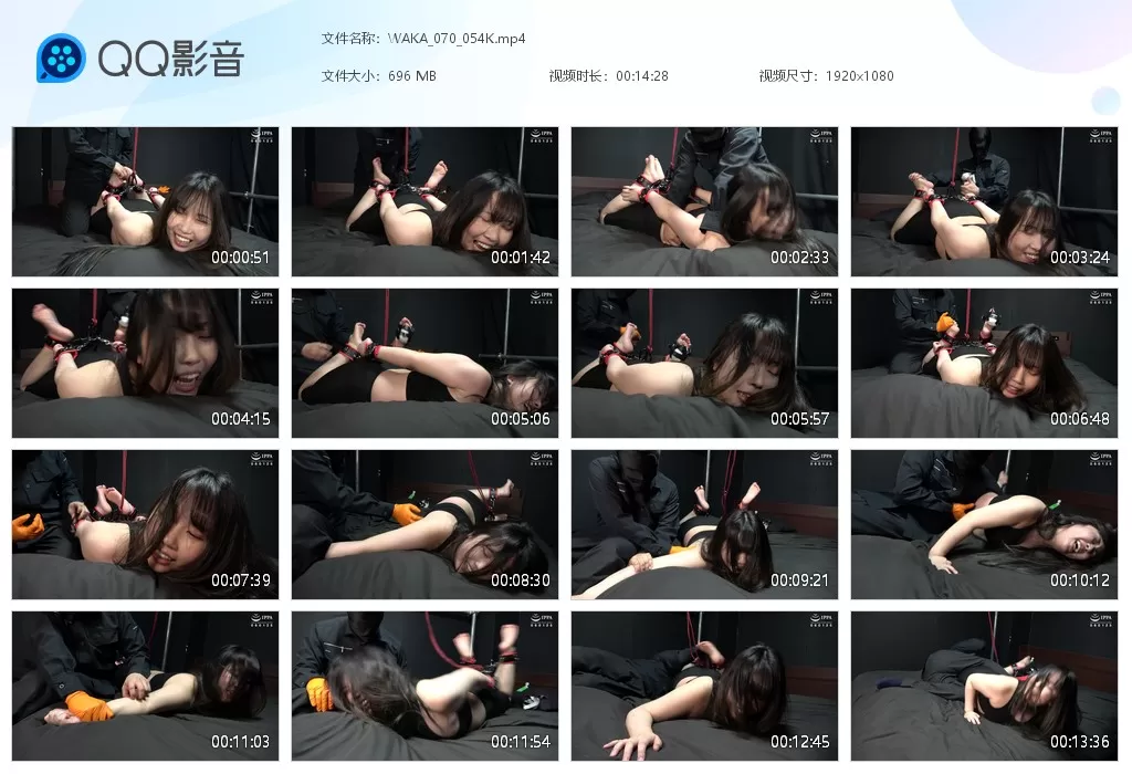 2.webp