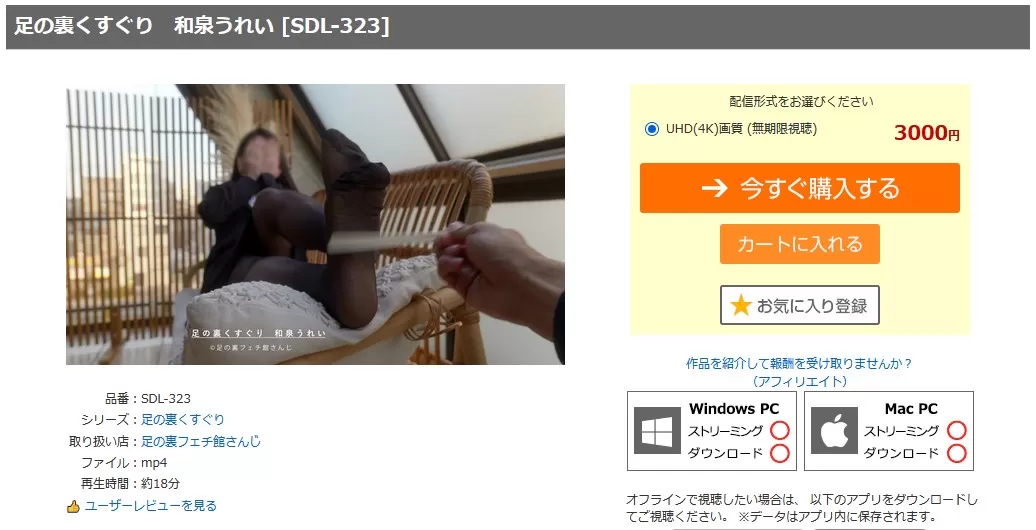 41.webp