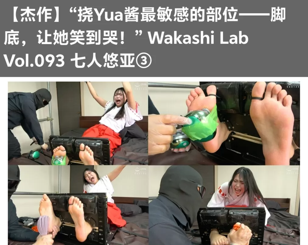 14.webp