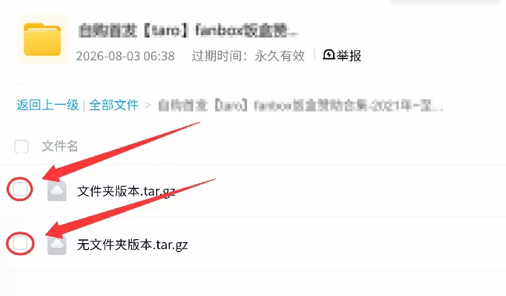 070155zf69ofwfcekeiof9~1 - 副本 (2).webp
