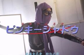 【精翻中文】仮面の女忍者（在线播）